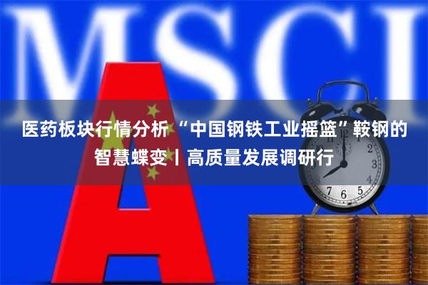 医药板块行情分析 “中国钢铁工业摇篮”鞍钢的智慧蝶变丨高质量发展调研行