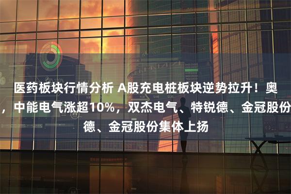 医药板块行情分析 A股充电桩板块逆势拉升！奥特迅封板，中能电气涨超10%，双杰电气、特锐德、金冠股份集体上扬