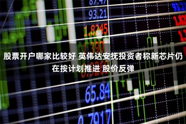 股票开户哪家比较好 英伟达安抚投资者称新芯片仍在按计划推进 股价反弹