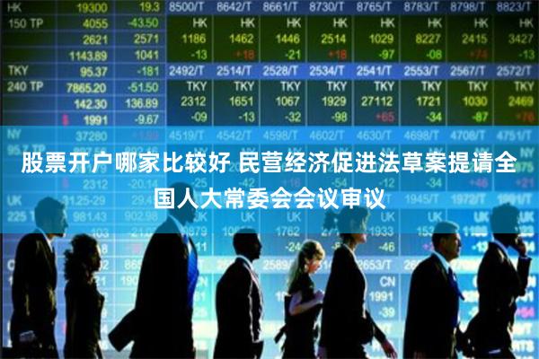 股票开户哪家比较好 民营经济促进法草案提请全国人大常委会会议审议