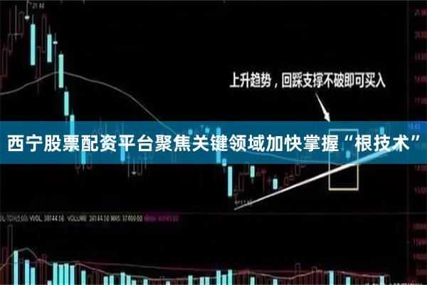 西宁股票配资平台聚焦关键领域加快掌握“根技术”